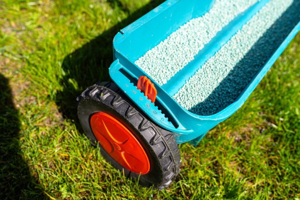 Turf care tips fertilising schedule